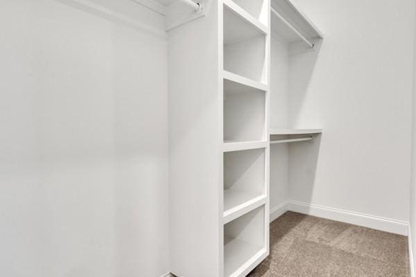 195 Charleston Ave, Pleasant View, TN 37146 - spacious closet with carpet flooring