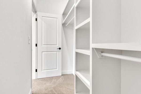 195 Charleston Ave, Pleasant View, TN 37146 - spacious closet with carpet floors