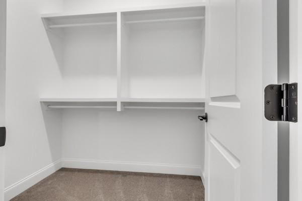 195 Charleston Ave, Pleasant View, TN 37146 - view of closet