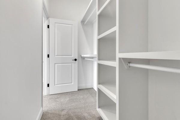 203 Charleston Ave, Pleasant View, TN 37146 - walk in closet with carpet floors