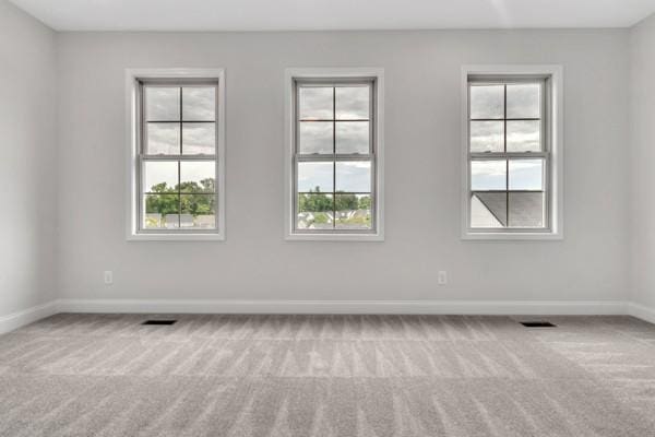 203 Charleston Ave, Pleasant View, TN 37146 - spare room with carpet and healthy amount of natural light