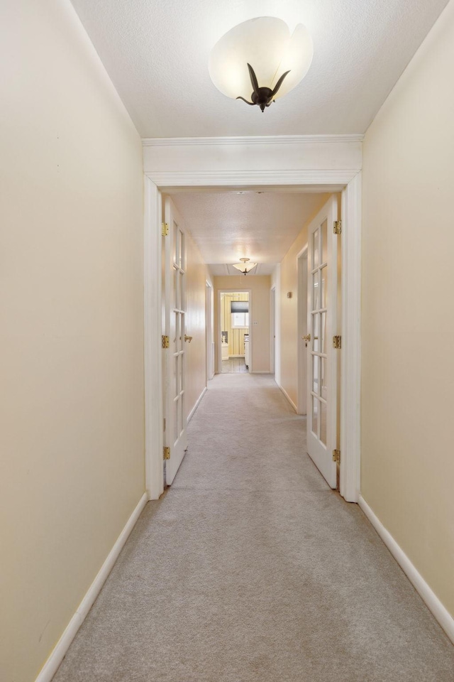 305 Myers Ter, Carthage, TN 37030 - hallway with carpet floors and french doors