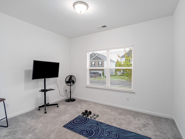345 Winston Way, Gallatin, TN 37066 - exercise area featuring carpet floors