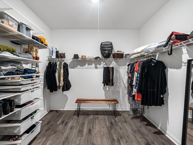 345 Winston Way, Gallatin, TN 37066 - walk in closet featuring wood finished floors