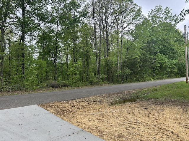 791 Hasty Ln, Estill Springs, TN 37330 - view of asphalt road