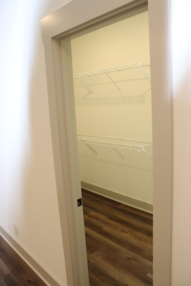 807 Hasty Ln, Estill Springs, TN 37330 - view of closet