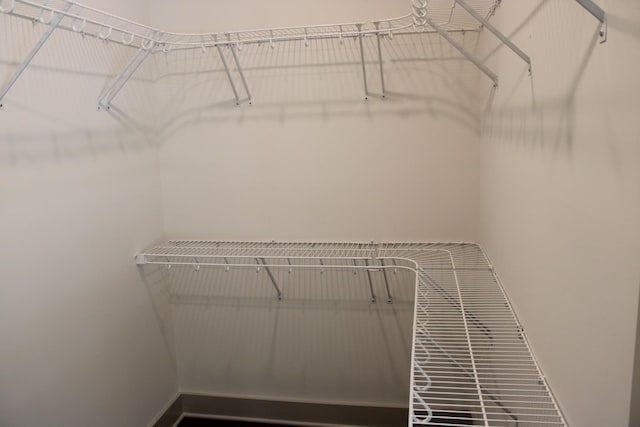 807 Hasty Ln, Estill Springs, TN 37330 - view of walk in closet