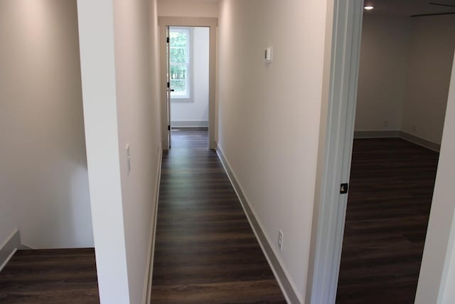 807 Hasty Ln, Estill Springs, TN 37330 - hallway with dark wood-type flooring
