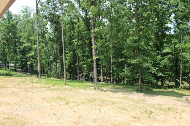 807 Hasty Ln, Estill Springs, TN 37330 - view of tree filled area