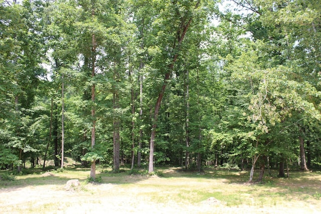 807 Hasty Ln, Estill Springs, TN 37330 - view of tree filled area