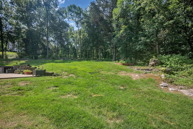 119 Ridgebend Dr, Murfreesboro, TN 37128 - photo 37
