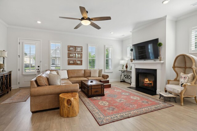 517 Perrin Aly, Antioch, TN 37013 - photo 20