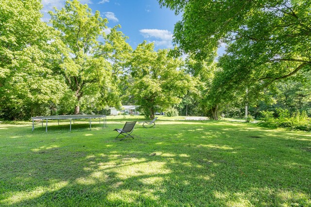 1755 Taylor Town Rd, White Bluff, TN 37187 - photo 14