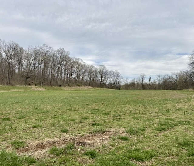831 Cherry Blossom Ln, Clarksville, TN 37040 - photo 37