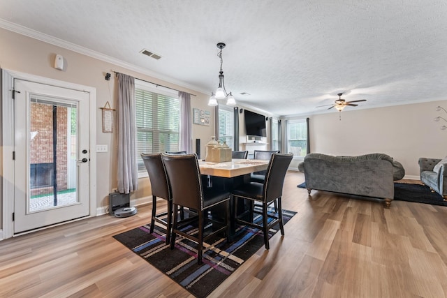 831 Cherry Blossom Ln, Clarksville, TN 37040 - photo 14