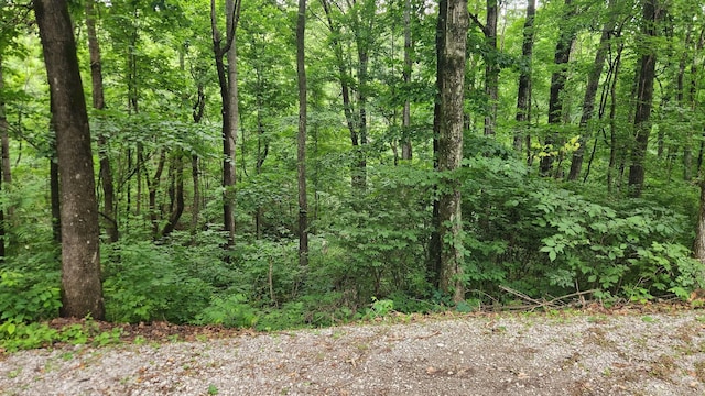 6202 Dyer Rd, Goodlettsville, TN 37072 - photo 7