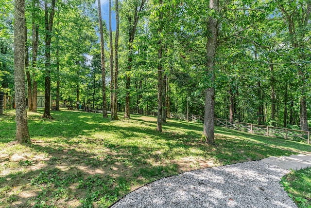 6202 Dyer Rd, Goodlettsville, TN 37072 - photo 13