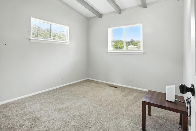 5011 Jarrett Rd, Chattanooga, TN 37416 - carpeted spare room with healthy amount of natural light