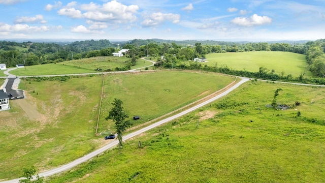 1744 Blackburn Ln, Spring Hill, TN 37174 - aerial view of sparsely populated area