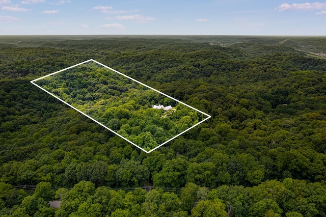 8454 Lewis Rd, Nashville, TN 37221 - photo 41
