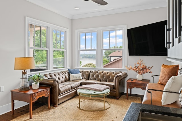 541 Lakeview Cir, Mount Juliet, TN 37122 - living area with plenty of natural light, a ceiling fan, wood finished floors, and ornamental molding