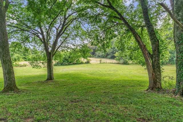 3316 Burr Rd, Springfield, TN 37172 - view of green lawn