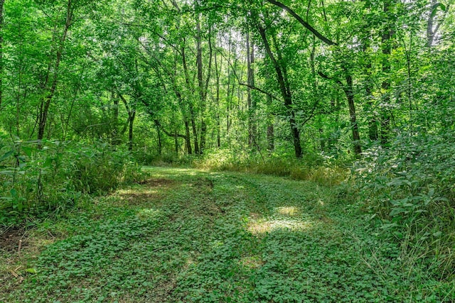 3316 Burr Rd, Springfield, TN 37172 - view of tree filled area
