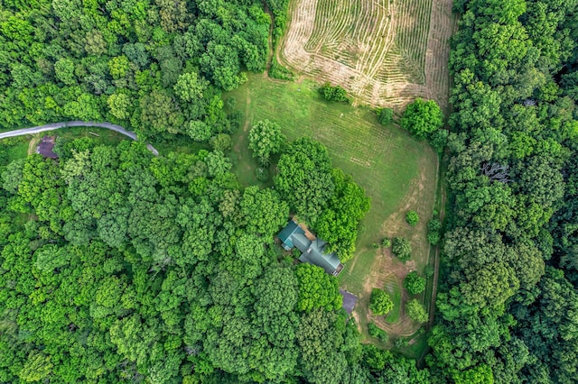 3316 Burr Rd, Springfield, TN 37172 - aerial overview of property's location