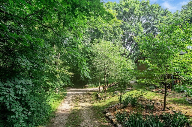 3316 Burr Rd, Springfield, TN 37172 - view of wooded area