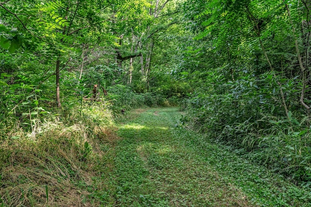 3316 Burr Rd, Springfield, TN 37172 - view of woods