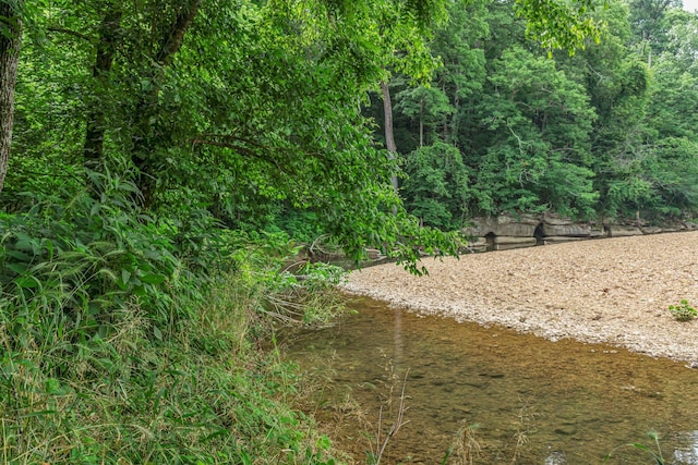3316 Burr Rd, Springfield, TN 37172 - view of nature