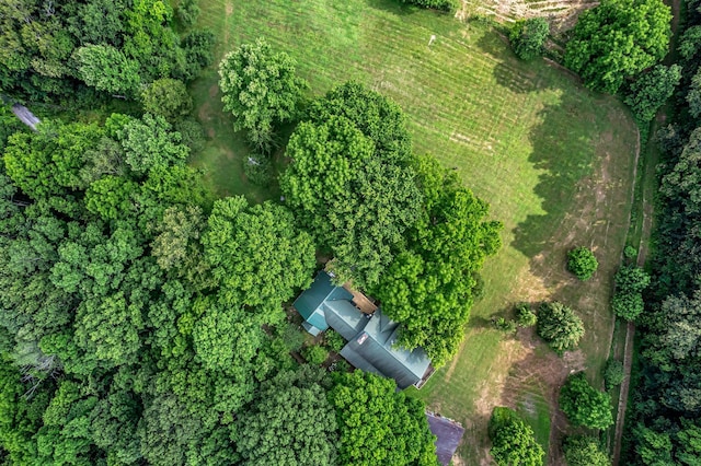 3316 Burr Rd, Springfield, TN 37172 - aerial view of property and surrounding area