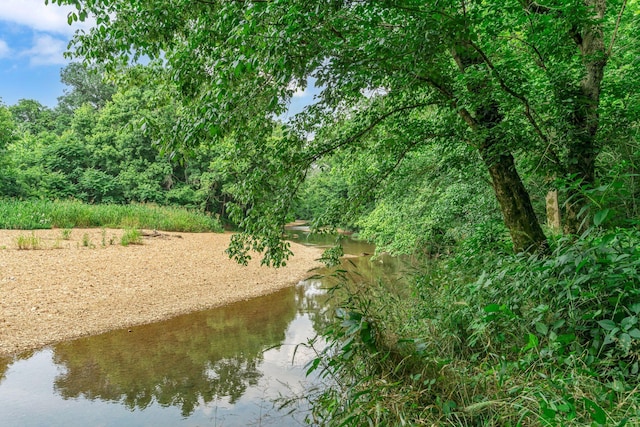 3316 Burr Rd, Springfield, TN 37172 - water view