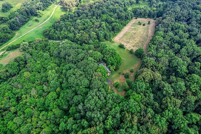 3316 Burr Rd, Springfield, TN 37172 - aerial view of property and surrounding area