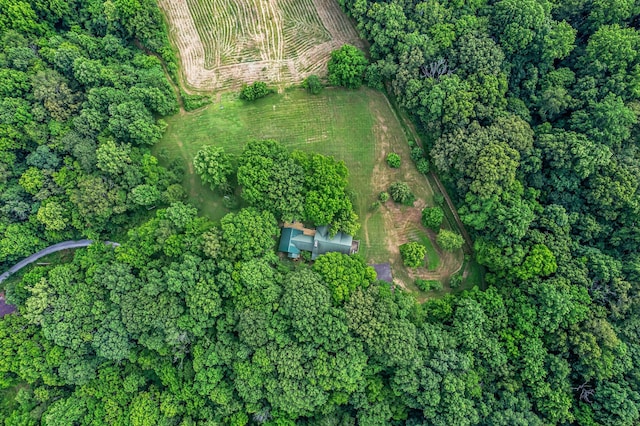 3316 Burr Rd, Springfield, TN 37172 - aerial view of property and surrounding area