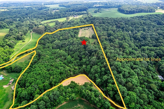 3316 Burr Rd, Springfield, TN 37172 - aerial view of property and surrounding area featuring a heavily wooded area and property parcel outlined
