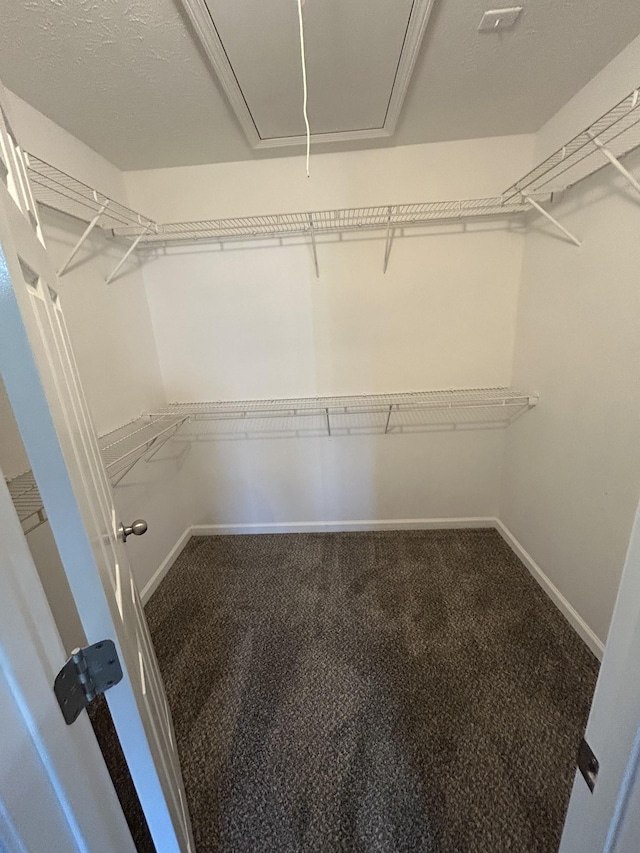 1911 Days Rd, Lafayette, TN 37083 - spacious closet featuring attic access and carpet flooring