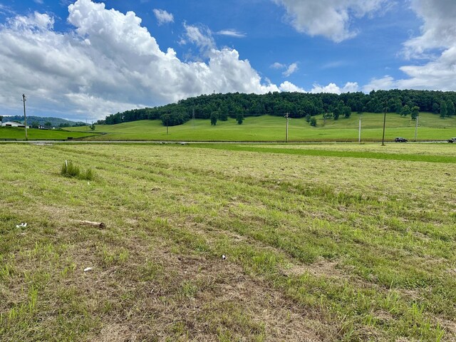 0 Tower Hill Rd, Livingston, TN 38570 - photo 11