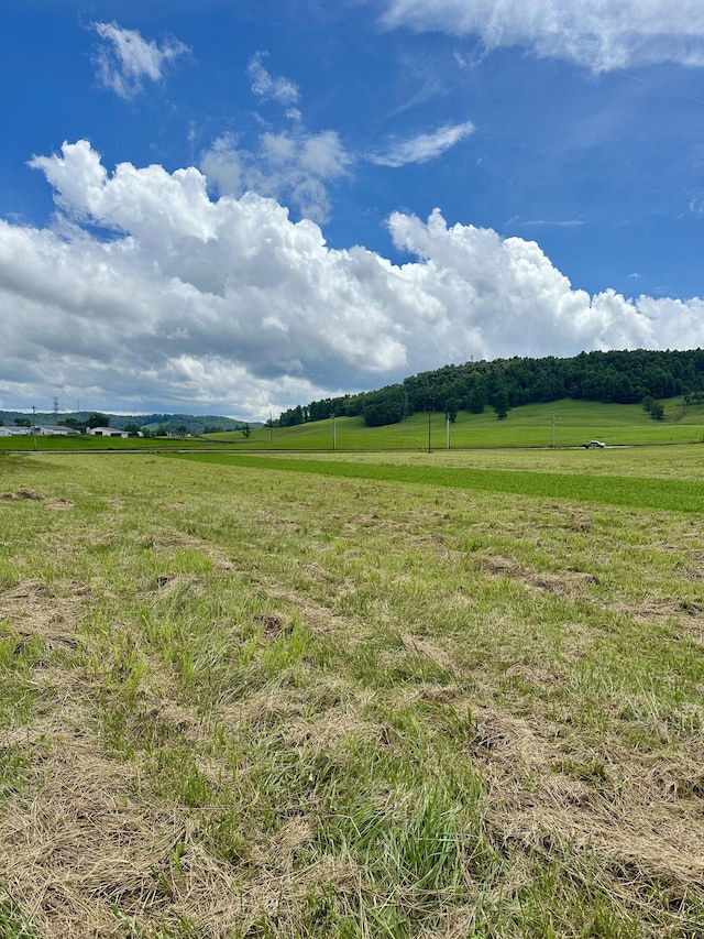 0 Tower Hill Rd, Livingston, TN 38570 - photo 16