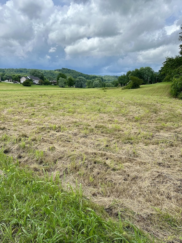 0 Tower Hill Rd, Livingston, TN 38570 - photo 10