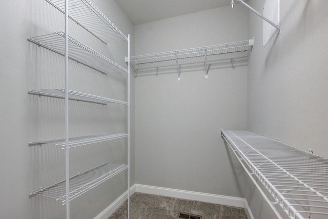 1331 Juniper Pass, Clarksville, TN 37043 - walk in closet featuring carpet flooring