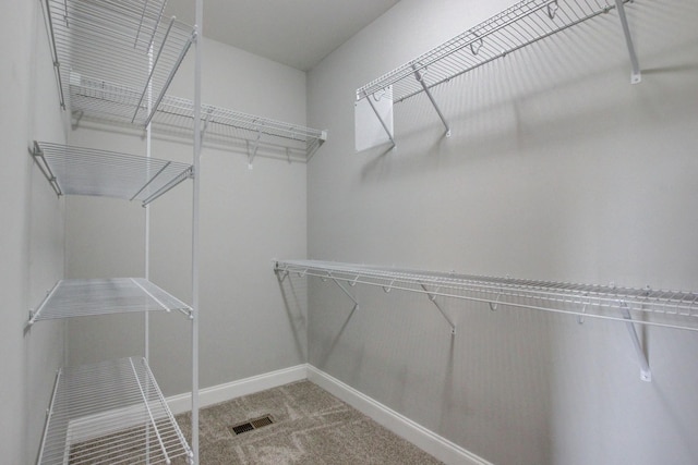 1331 Juniper Pass, Clarksville, TN 37043 - spacious closet featuring carpet