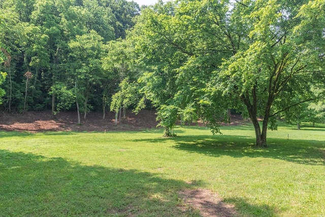 5191 Still House Hollow Rd, Franklin, TN 37064 - view of green lawn