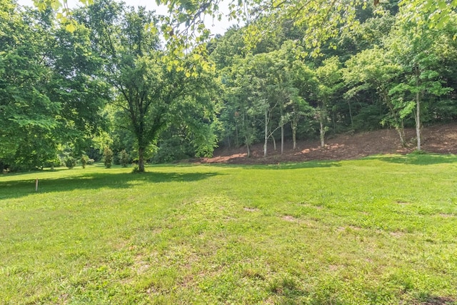 5191 Still House Hollow Rd, Franklin, TN 37064 - view of green lawn