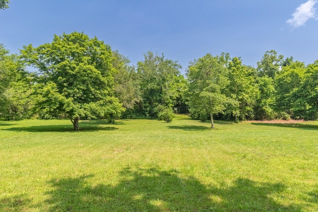 5191 Still House Hollow Rd, Franklin, TN 37064 - view of grassy yard