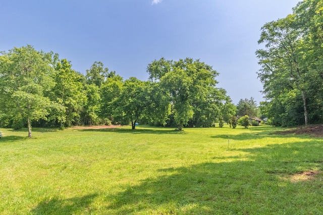 5191 Still House Hollow Rd, Franklin, TN 37064 - view of green lawn