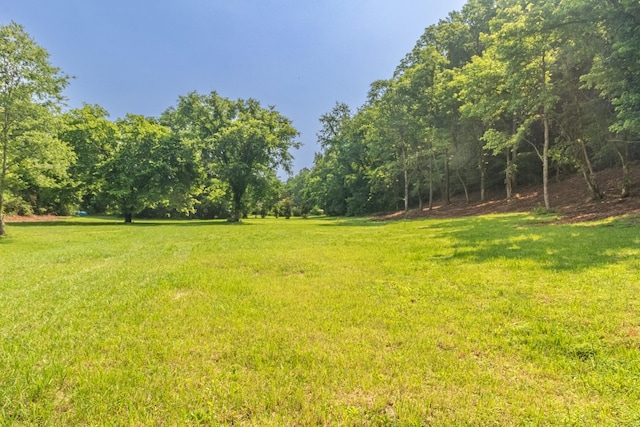 5191 Still House Hollow Rd, Franklin, TN 37064 - view of grassy yard featuring a wooded view