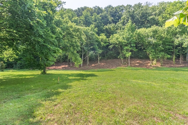 5191 Still House Hollow Rd, Franklin, TN 37064 - view of grassy yard
