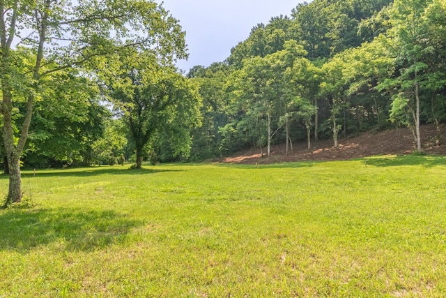 5191 Still House Hollow Rd, Franklin, TN 37064 - view of grassy yard featuring a forest view