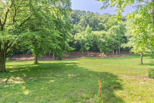 5191 Still House Hollow Rd, Franklin, TN 37064 - view of grassy yard